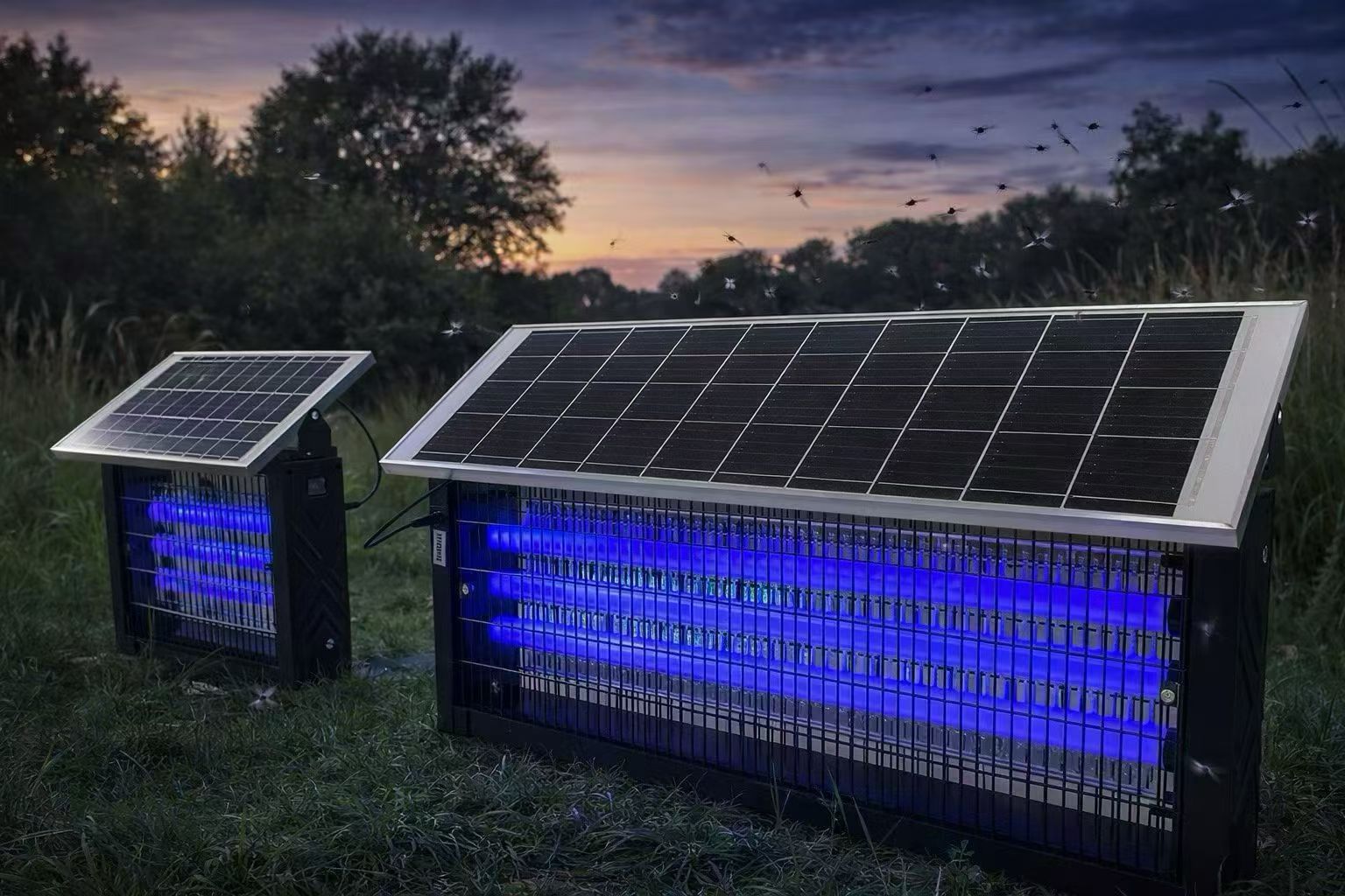 Customization Process